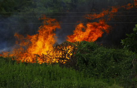 The Hidden Threat Behind America’s Growing Wildfire Crisis