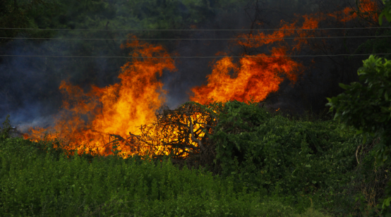 The Hidden Threat Behind America’s Growing Wildfire Crisis