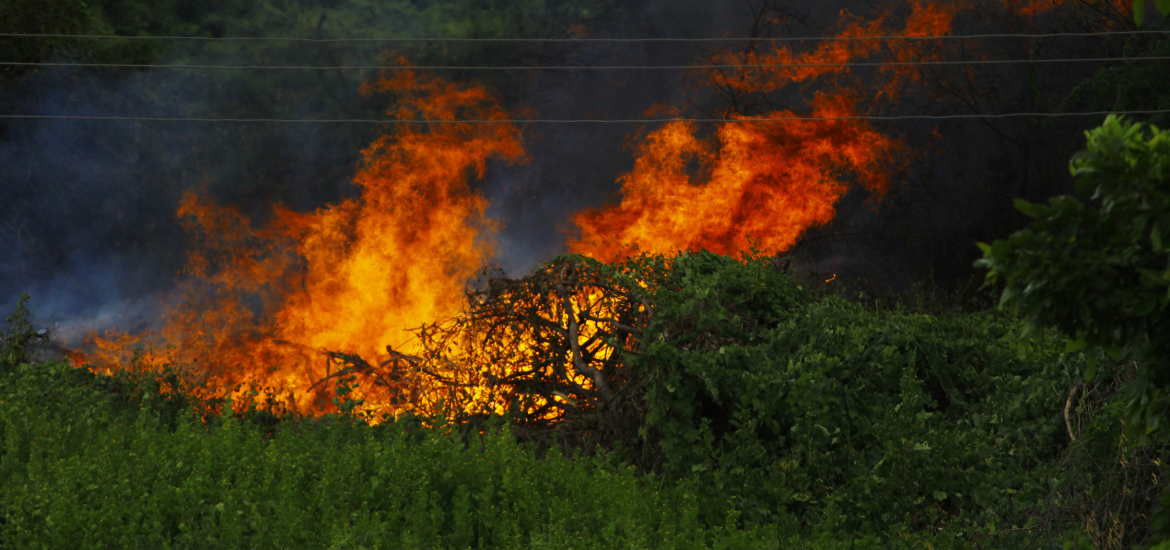 The Hidden Threat Behind America’s Growing Wildfire Crisis