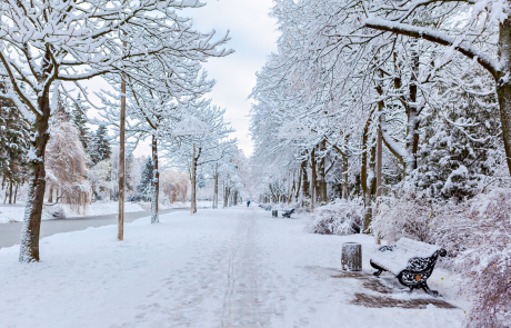 Lake-Effect Snow and Arctic Temperatures Freeze Eastern US