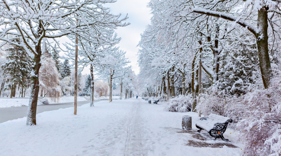 Lake-Effect Snow and Arctic Temperatures Freeze Eastern US