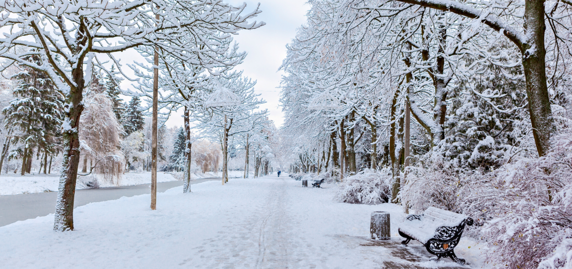 Lake-Effect Snow and Arctic Temperatures Freeze Eastern US