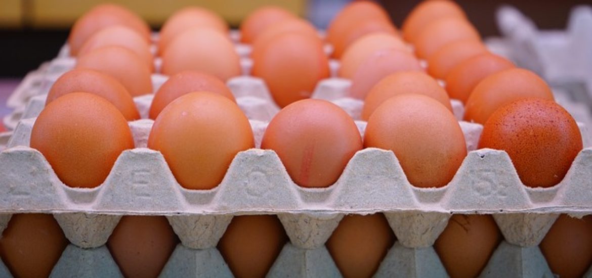 Soaring Egg Prices Take a Toll on American Bakeries