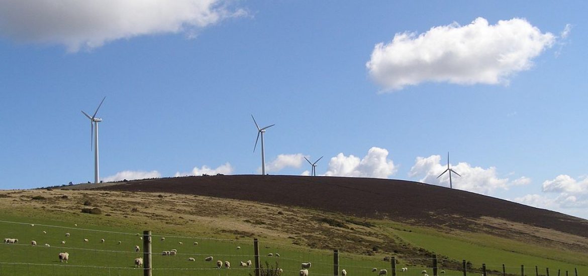 Ireland launches wind power campaign