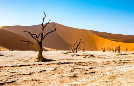 Rare Floods Transform the Sahara Desert, Creating Lakes Amid Sand Dunes