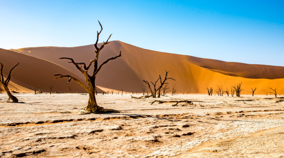 Rare Floods Transform the Sahara Desert, Creating Lakes Amid Sand Dunes