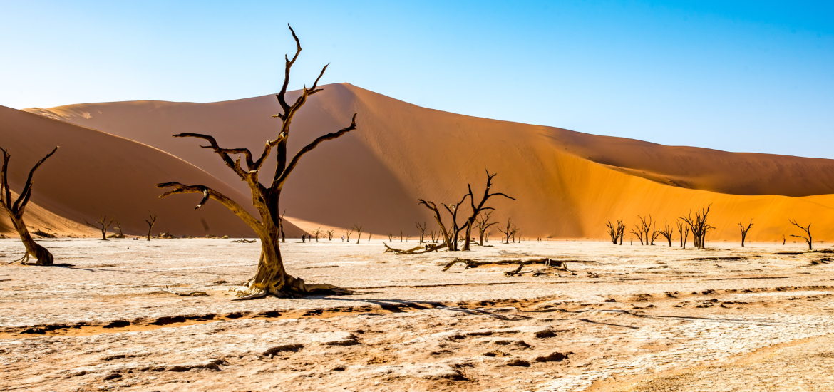 Rare Floods Transform the Sahara Desert, Creating Lakes Amid Sand Dunes